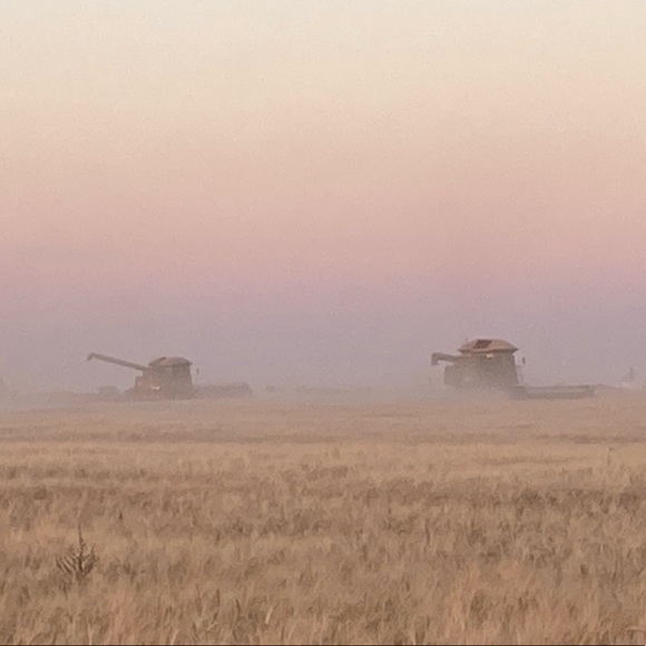 Meet your Posher, Stephanie - Picture 1 of 1